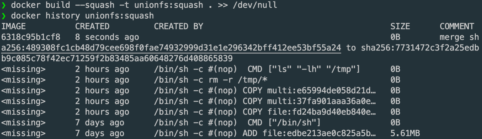 squash 後的 Image 只有Base Image 的 5.61MB，所以把浪費的空間都移除了