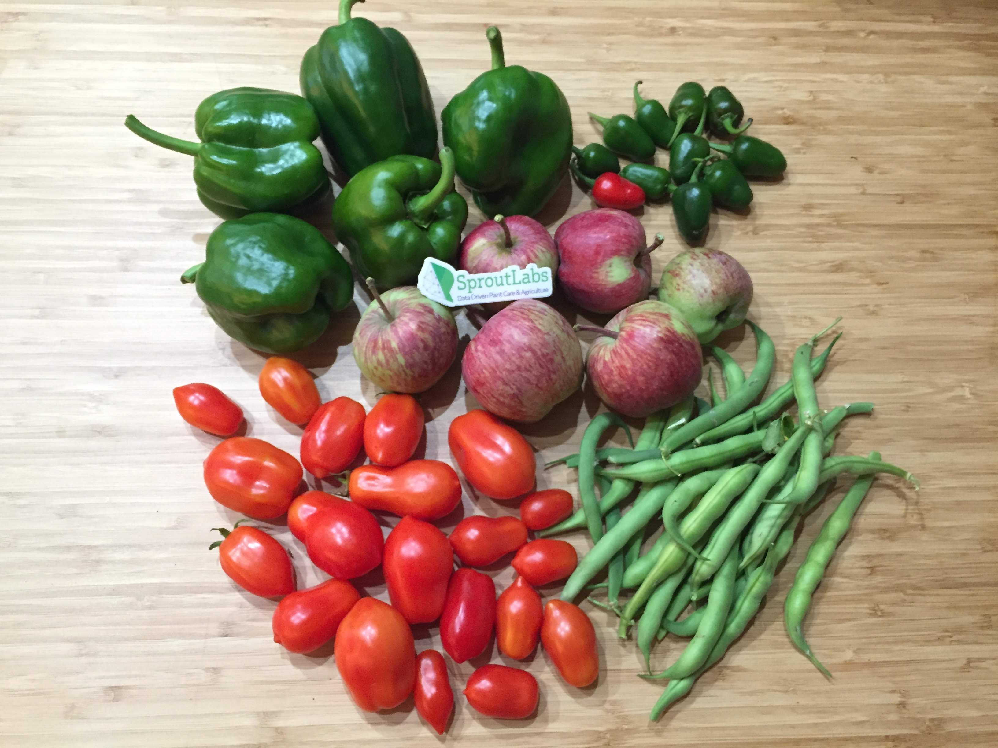 不是蘋果太小顆，而是番茄真的很大顆